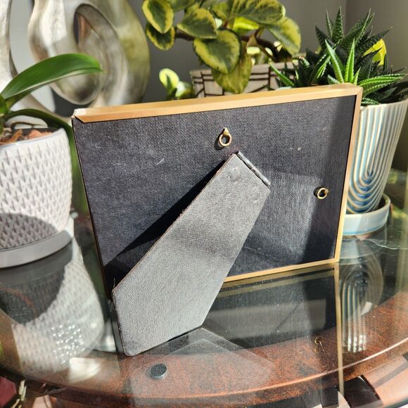 Mounted Real Butterfly Papilio gigon Indonesian Swallowtail Specimen Taxidermy - Picture 6 of 7